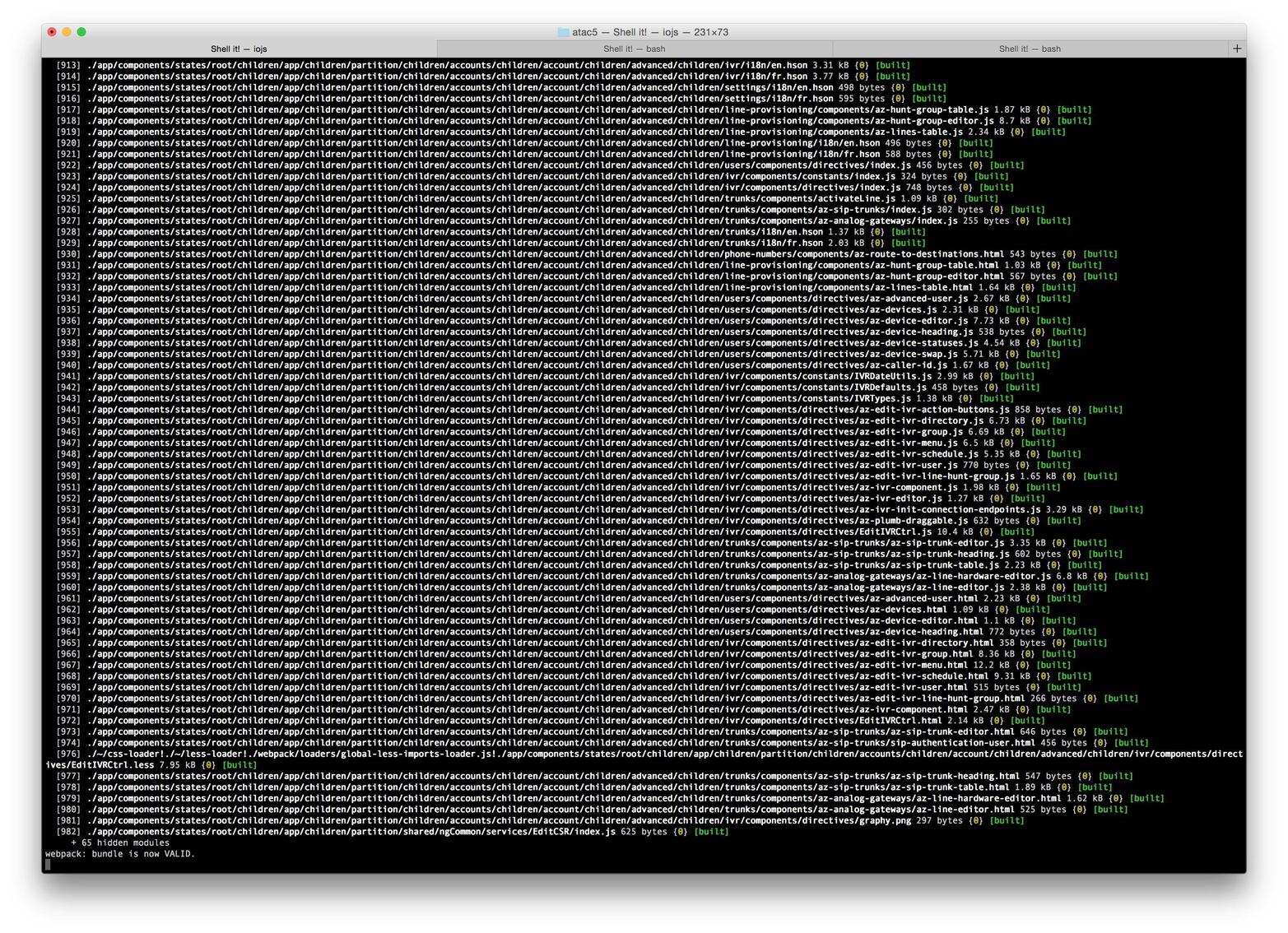 output of terminal with webpack