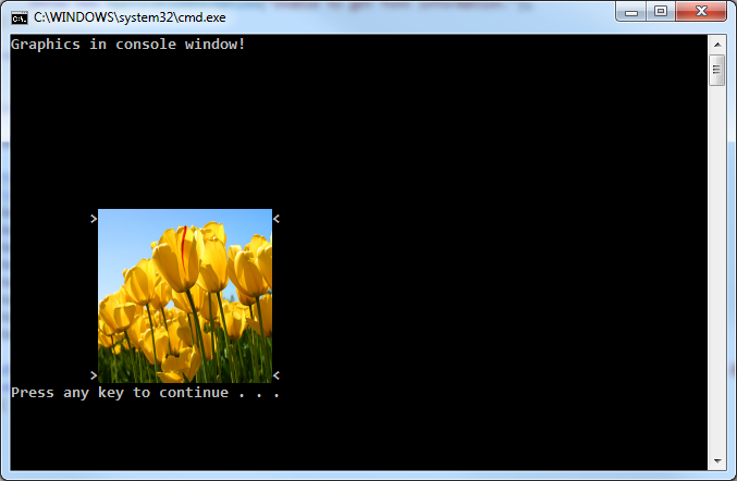 Graphics in Console