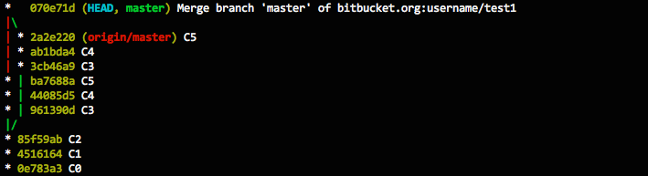 A graph log showing a merge commit